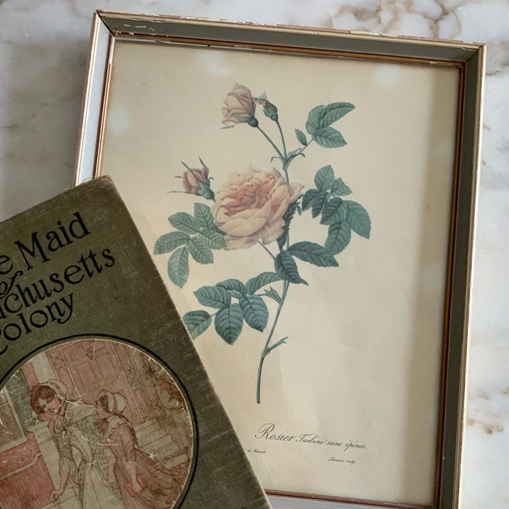 Shabby Chic Rose Artwork